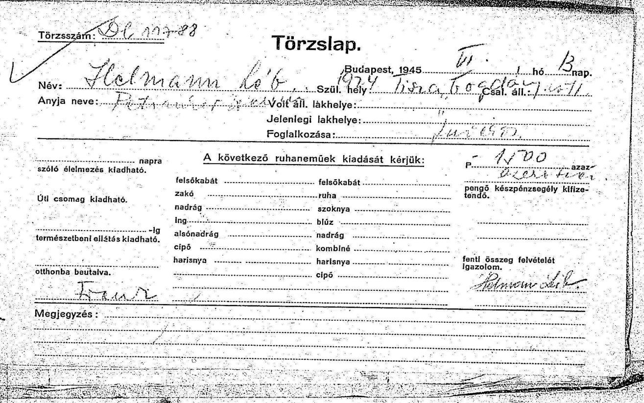Budapest survivor registration form, 1945, for Helmann Leb, born 1924 in Tisza Bogdany