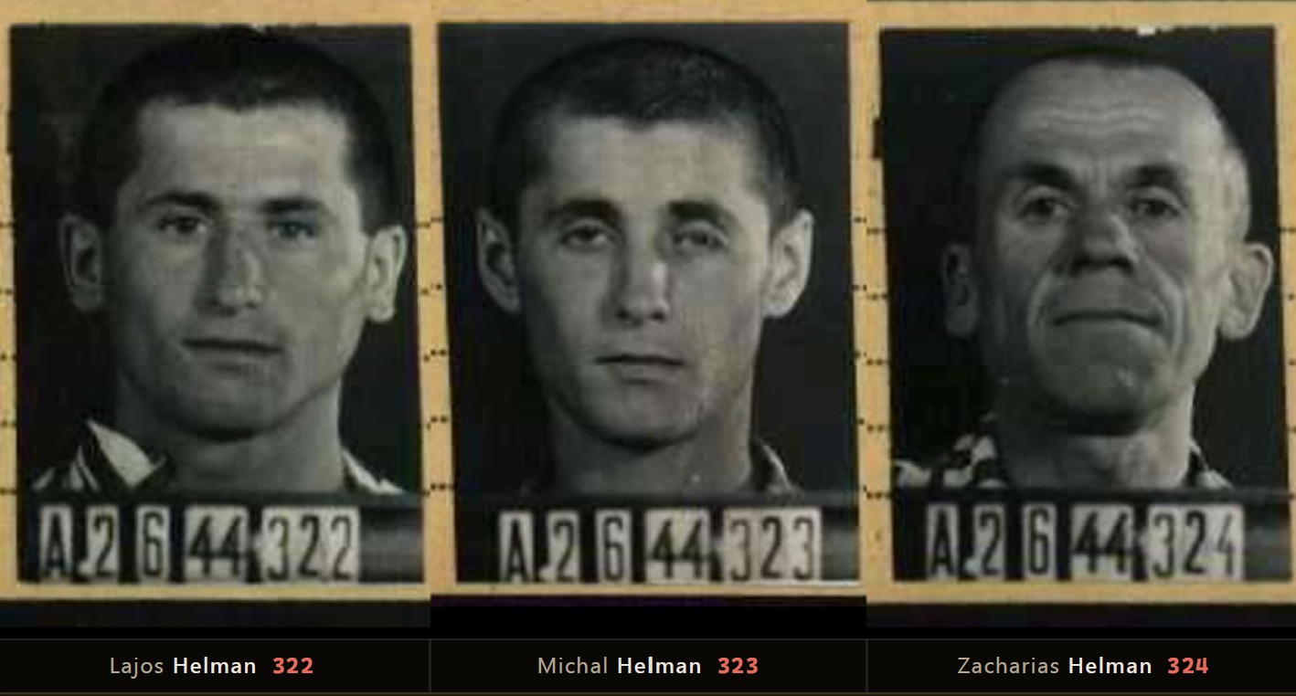 Buchenwald intake photographs of Lajos, Michal and Zacharias Helman, 2 June 1944, boards 322, 323 and 324