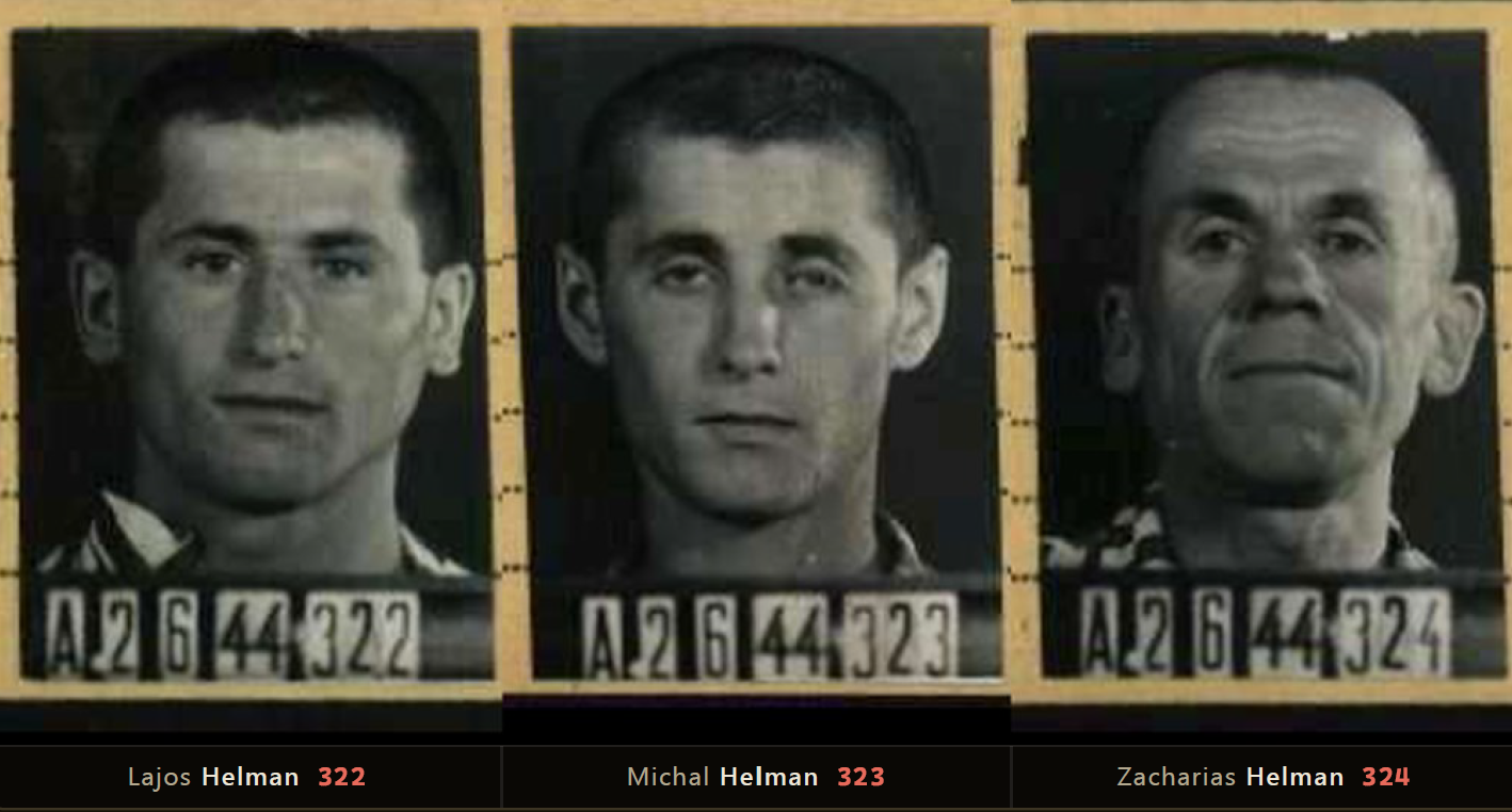 Buchenwald intake photographs of Lajos, Michal and Zacharias Helman, 2 June 1944, boards 322, 323 and 324